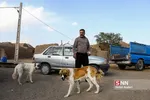 اسماعیل آباد