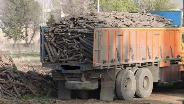 کشف و توقیف حدود ۴.۵ تن چوب تاغ قاچاق در سرایان خراسان جنوبی