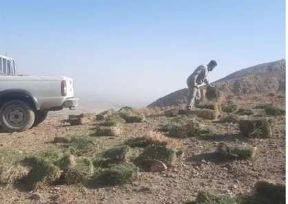 حمایت از حیات وحش سمنان انجام شد/ توزیع علوفه در شاهرود طی فصل سرد سال
