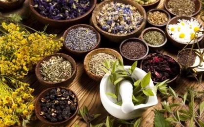 شتاب&zwnj;دهنده&zwnj;های تخصصی حوزه گیاهان دارویی توسعه می&zwnj;یابند / لزوم گسترش ارتباطات بین&zwnj;المللی با شرکت&zwnj;های معتبر جهانی