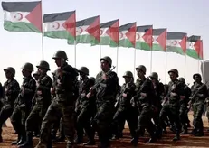 جبهه پولیساریو ادعای ارتباط با حزب‌الله را از اساس دروغ دانست