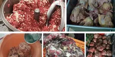 ۴۰۰ کیلو پوست صورت گاو و سنگدان برای تهیه گوشت چرخ‌کرده ضبط شد