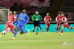 دبب