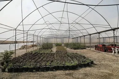 زمین برای احداث شهرک‌های گلخانه‌ای در سقز به سرمایه گذار واگذار می‌شود