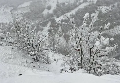 تداوم بارش برف و باران در سمنان/ احتمال کولاک وجود دارد