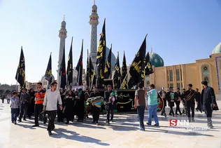 شیرخوارگان