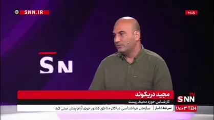 دریکوند: افزایش سگ های ولگرد اکوسیستم حیات وحش را برهم زده است