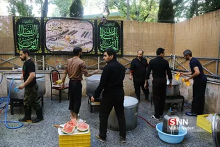 تربیت مدرس