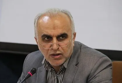دژپسند: بانک&zwnj;ها به دنبال تملیک بنگاه&zwnj;ها نیستند