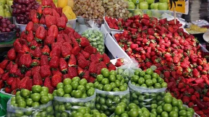 عرضه نوبرانه گوجه سبز در تمامی میادین و بازار&zwnj;های میوه و تره&zwnj;بار