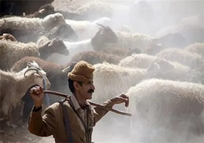 مستمری&zwnj;بگیران صندوق بیمه اجتماعی روستایی بسته جبرانی می&zwnj;گیرند