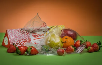 ماندگاری مواد غذایی با کیسه نگهداری آنتی&zwnj;باکتریال افزایش می&zwnj;یابد