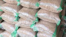 لزوم لغو ممنوعیت صادرات نخود/کاهش ۳۰ درصدی نخود کرمانشاه طی امسال