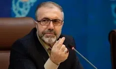 توضیحات دبیر کل ستاد مبارزه با مواد مخدر در مورد کشت خشخاش در ایران /ذوالفقاری: به جای خشخاش 