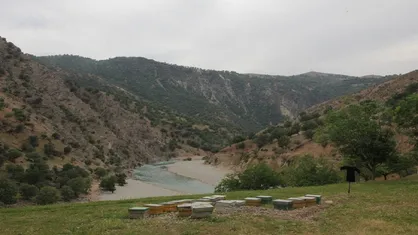 طبیعت زاگرس را دریابید! بی&zwnj;تفاوتی خطری بزرگ&zwnj;تر از خشکسالی است