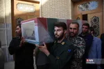 دبب