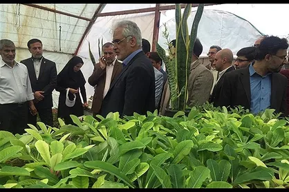 رئیس دانشگاه آزاد از شهرک گلخانه&zwnj;ای فرهیختگان دانشگاه آزاد گرگان بازدید کرد