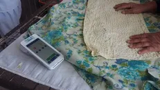 گرانفروشی نان در فضای مجازی غیرقانونی است