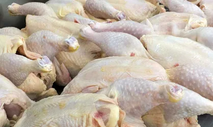 بازگشت مرغ به کانال ۱۴ هزار تومانی / قیمت فروش اصناف دلبخواهی شد