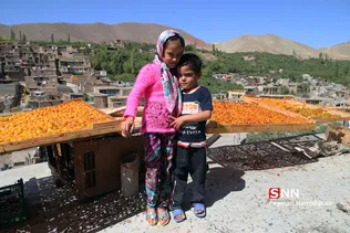 روستای خرو