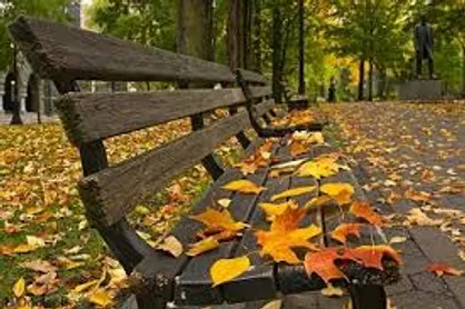 توصیه&zwnj;هایی برای مبتلایان به افسردگی پاییزی