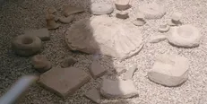۳۹ هزار و ۵۵۴ شی تاریخی کشف و ضبط شده است
