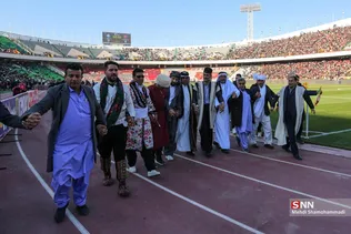 دبب