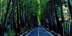 سامانه اراضی و املاک آموزش و پرورش طراحی شد