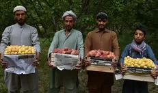 آمادگی ایران برای سرمایه‌گذاری در بخش کشاورزی افغانستان