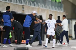 دبب