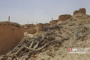 ماخونیک