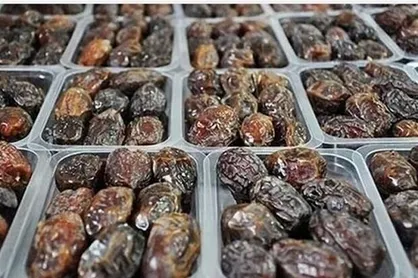 افزایش صادرات خرما، انار و کیوی در سال جاری