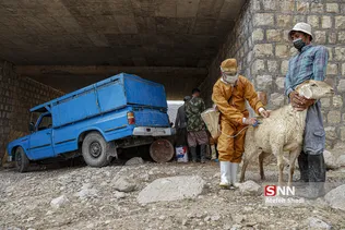 واکسن ذام