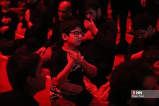 دبب