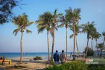 صثفصل
