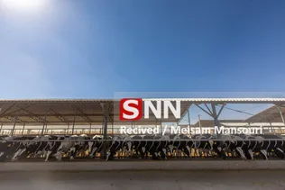 324234