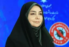 وزارت بهداشت موضوع لغو طرح ترافیک را بار‌ها مطرح کرده است