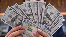 آخرین قیمت دلار، یورو و سایر ارزها امروز ۱۲ آذر / دلار زیر ۱۲۰ هزار تومان