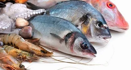 اجرای ۸ هزار طرح شیلاتی با همکاری بنیاد برکت