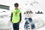 دبب