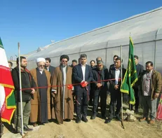 چندین طرح کشاورزی در زنجان به بهره‌برداری رسید
