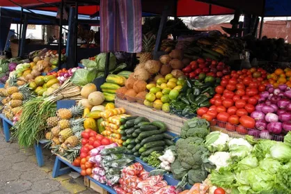 سازمان مدیریت میادین میوه و تره&zwnj;بار به عرصه تجارت خارجی ورود می&zwnj;کند؟