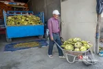 آفتاب گردون