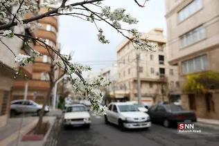 چند قدم مانده تا بهار