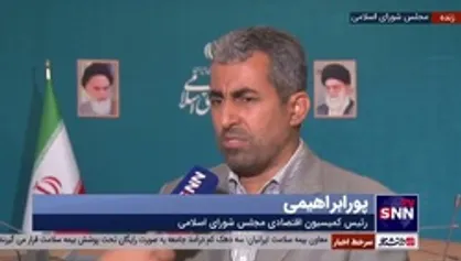پورابراهیمی: دولت در مورد تخصیص کارت اعتباری خرید هنوز اقدامی انجام نداده است