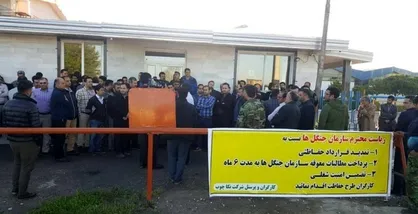 تعویض مدیر عامل نکاچوب؛ تنها راه حل مسئولان برای حل مشکلات کارگران تعدیل شده / آتشی که مافیای چوب به محافظان جنگل زد