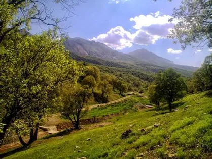 سند مدیریت پایدار جنگل&zwnj;های زاگرس نهایی شد