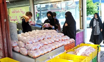 قیمت ۶۳ هزار تومانی مرغ غیر منطقی و منجر به ضرر مرغداران می&zwnj;شود