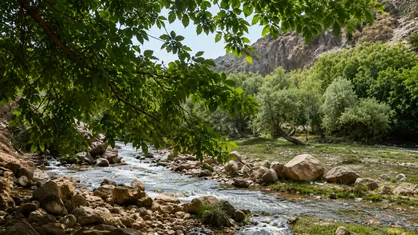 آزادسازی ۵ هکتار از اراضی ملی در منطقه &laquo;کهمان&raquo; لرستان