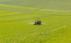 رونق کشاورزی در کشت و صنعت مغان یک سال پس از بازگشت به دولت